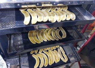 Desidratador  Micro - para alimentos e outros - AGMAC - MTDV - 15/A