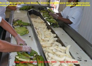 Mesa de Manipulação com Beiral e Esteira 3 Divisões - AGMAC MMB-80-300