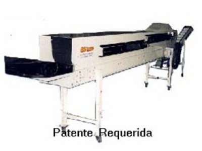 Secador de Passagem de Esteira - SEEP - 4000