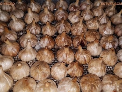 -  ESTUFA / SECADOR - AGMAC-ES20-MD-SII - em aço inox para suportar p/ produzir alho negro