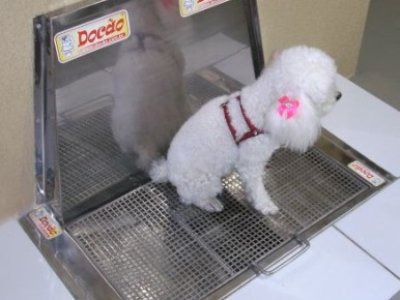 Sanitário Docão- Sanitário para Cães e Animais Domésticos (macho e fêmea)