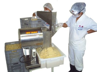 Processador / triturador alho - pasta e picado 3 telas - cabeçote picador adicional alho frito- DFP-500