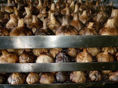 -  ESTUFA / SECADOR - AGMAC-ES12-MD-SII - em aço inox para suportar p/ produzir alho negro