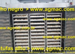 - ESTUFA / SECADOR -AGMAC-ES30-MD -em aço inox adequado p/ produzir alho negro  e outros produtos desidratados