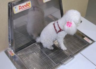 Sanitário Docão- Sanitário para Cães e Animais Domésticos (macho e fêmea)
